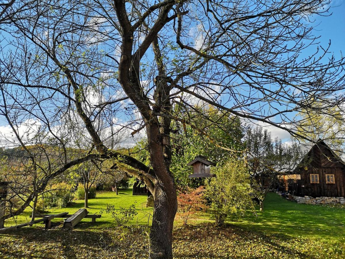 Apartmany Cerveny Dvur Chvalšiny Εξωτερικό φωτογραφία