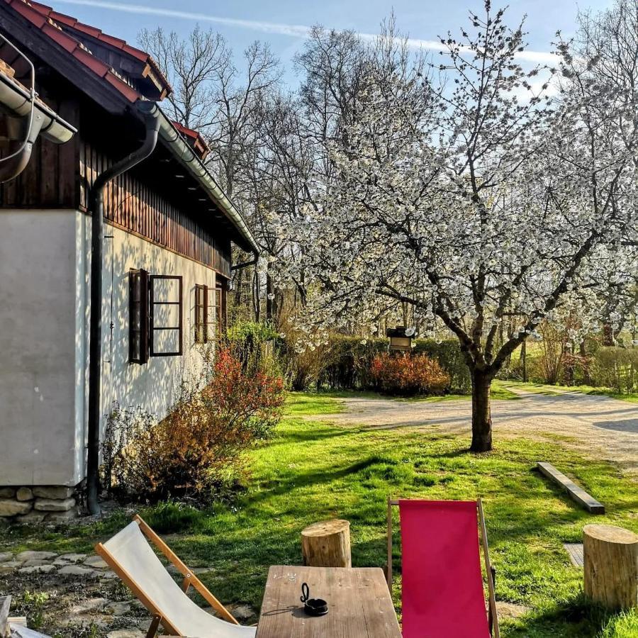Apartmany Cerveny Dvur Chvalšiny Εξωτερικό φωτογραφία