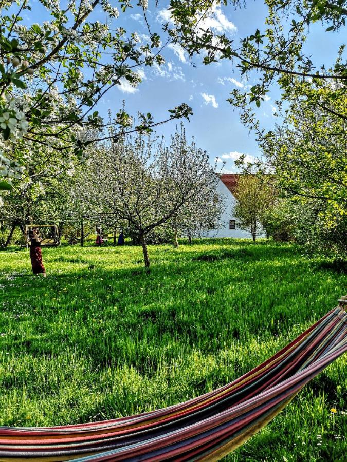 Apartmany Cerveny Dvur Chvalšiny Εξωτερικό φωτογραφία